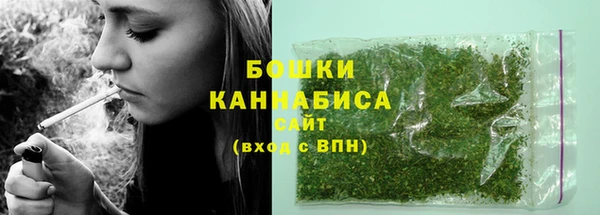 2c-b Инсар