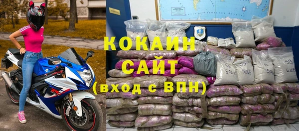 2c-b Инсар