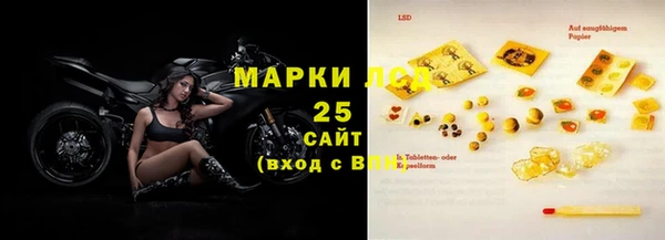 2c-b Инсар