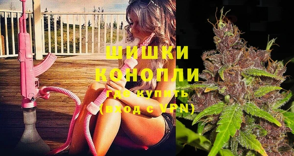 трава Инта
