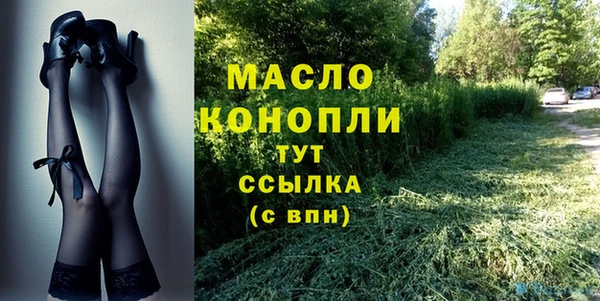 2c-b Инсар