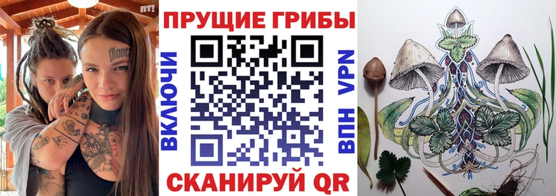 Псилоцибиновые грибы MAGIC MUSHROOMS  Купить закладки  Донецк 